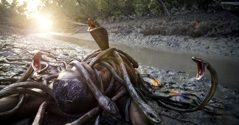 Roar: Tigers of the Sundarbans (2014)