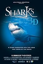 Sharks 3D