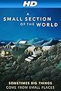 A Small Section of the World (2014)