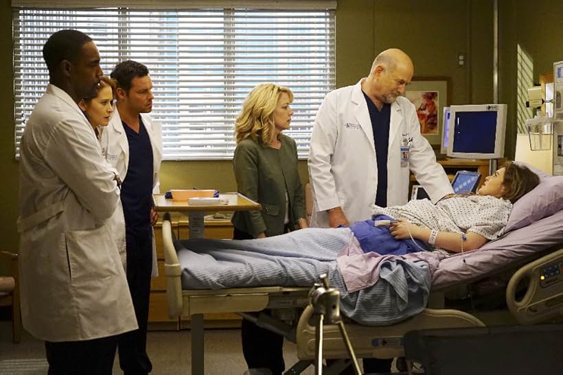 Justin Chambers, Sarah Drew, Jason George, Rebecca McFarland, Stephen Mendel, and Morgan Lily in Grey's Anatomy (2005)