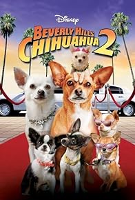Primary photo for Beverly Hills Chihuahua 2