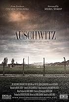 Auschwitz (2015)