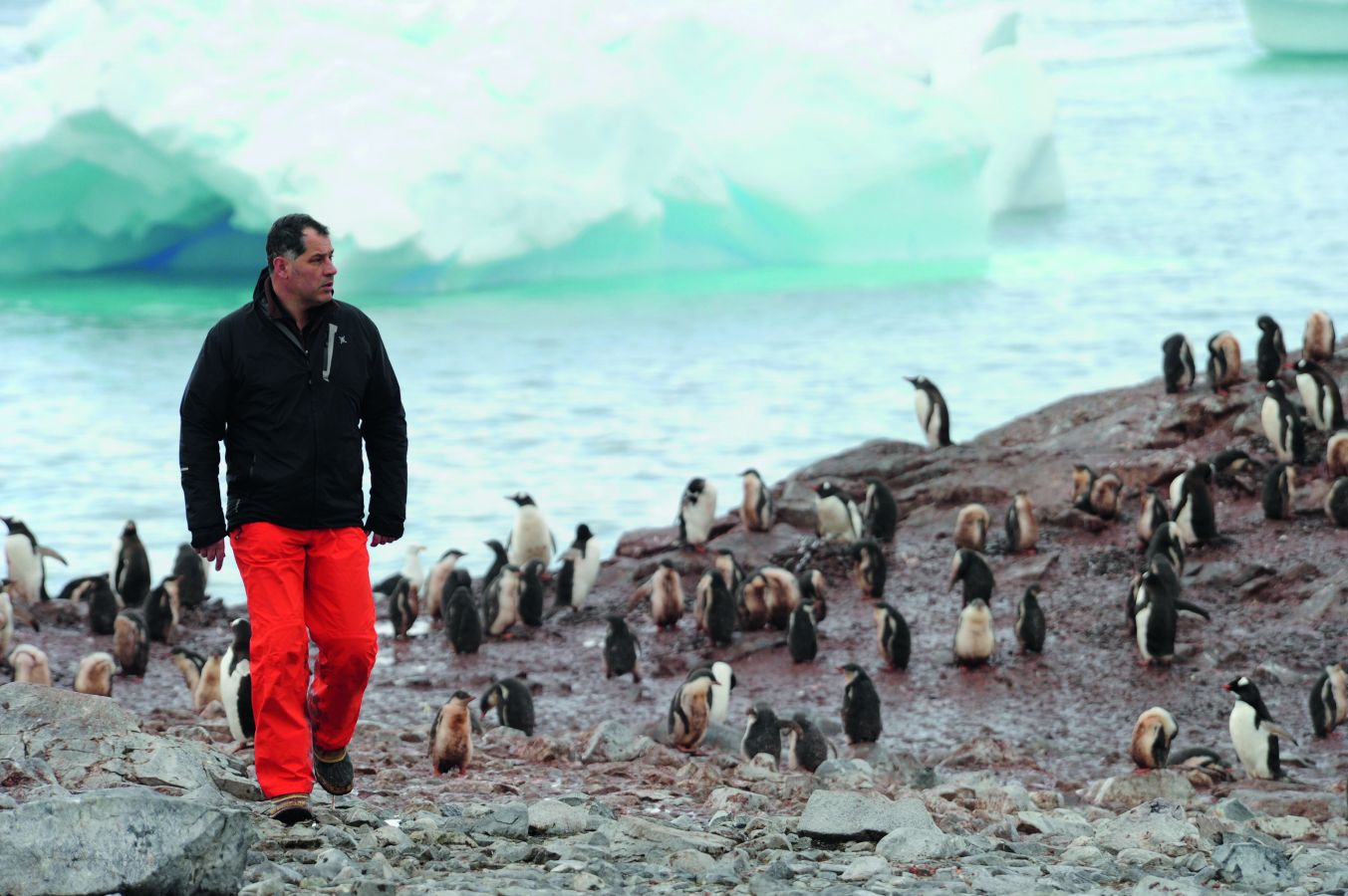 Luc Jacquet in Antarctica: Ice and Sky (2015)