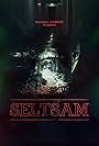 Seltsam (2016)