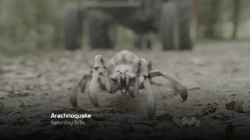 Arachnoquake