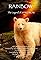 Rainbow: The Legend of Spirit Bear's primary photo