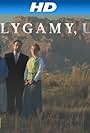 Polygamy USA (2013)