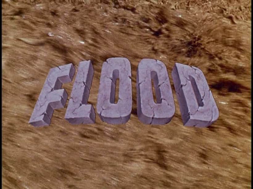 Flood (1976)