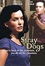 Stray Dogs (2001)