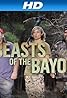 Beasts of the Bayou (TV Series 2014–2015) Poster