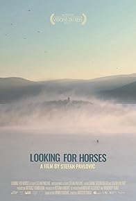 Primary photo for Looking for Horses