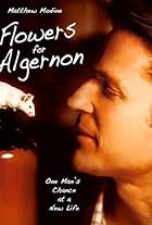 Flowers for Algernon