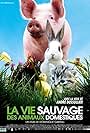 La vie sauvage des animaux domestiques (2009)