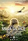 Colombia: Wild Magic (2015)