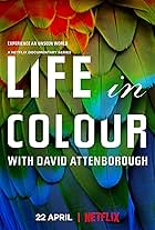 Life in Colour