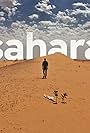 Sahara (2018)