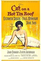 Cat on a Hot Tin Roof