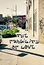 The Fragility of Love (2016)