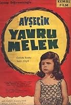 Yavru melek