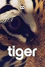 Tiger (2011)