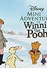 Mini Adventures of Winnie the Pooh (TV Series 2011–2014) Poster