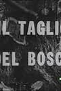 Il taglio del bosco (1963)