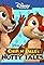 Chip 'n Dale's Nutty Tales's primary photo