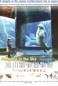 Primary photo for Penguins in the sky - Asahiyama zoo