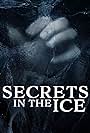 Secrets in the Ice (2020)