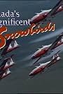 Canada's Magnificent Snowbirds: The First 20 Years (1991)