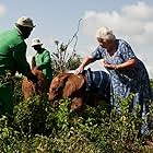 Daphne Sheldrick