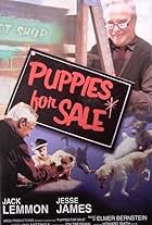 Puppies for Sale