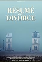 Résumé d'un divorce