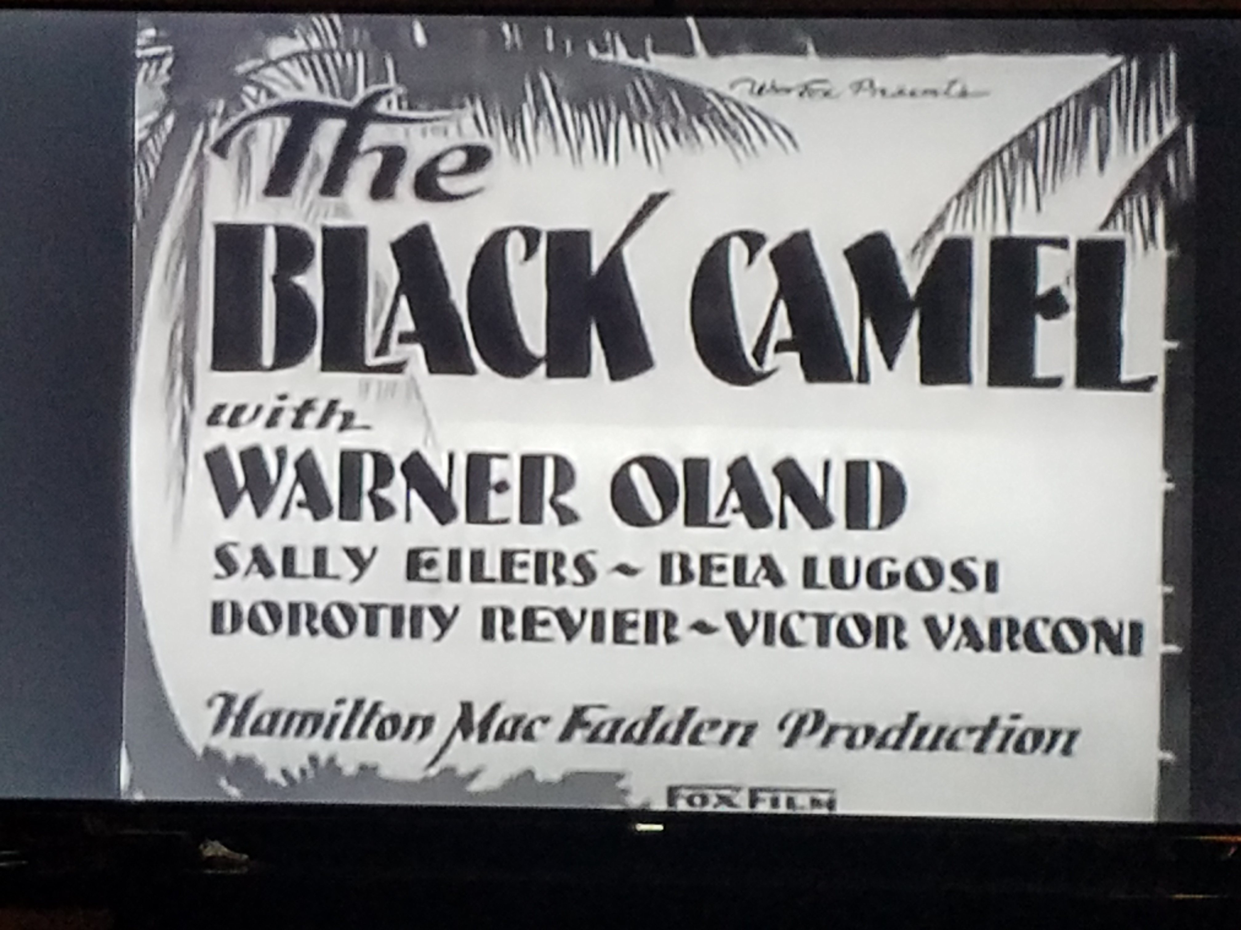 The Black Camel (1931)