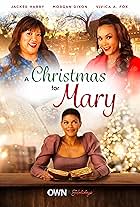 A Christmas for Mary