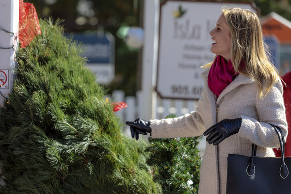 Bonnie Somerville in Love You Like Christmas (2016)