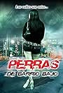 Perras de barrio (2015)