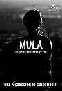 Mula (2022)