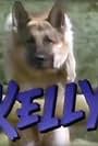 Kelly (1991)