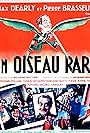 Un oiseau rare (1935)