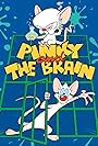 Pinky and the Brain (1995)