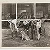 Mickey Rooney, Clyde Beatty, and Mickey Rentschler in The Lost Jungle (1934)