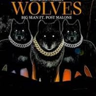 Primary photo for Big Sean Feat. Post Malone: Wolves