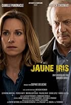 Patrick Chesnais and Camille Panonacle in Jaune Iris (2015)