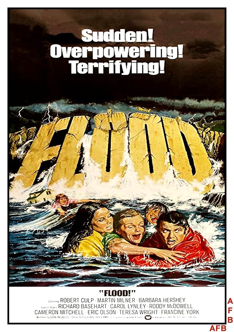 Flood (1976)