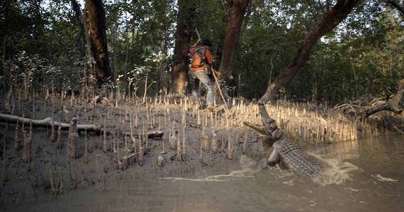 Roar: Tigers of the Sundarbans (2014)