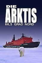 Die Arktis - 66,5 Grad Nord