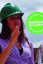 Energías eficientes (2010)