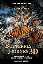 Butterfly Journey