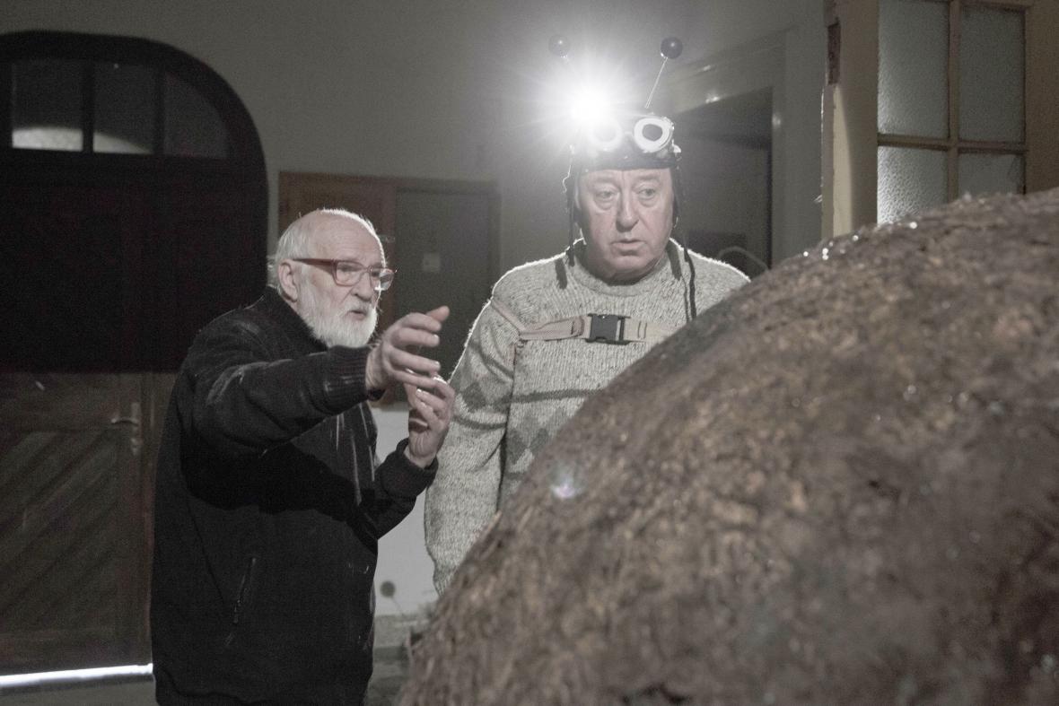 Jirí Lábus and Jan Svankmajer in Insect (2018)